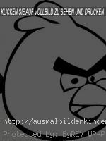 Angry birds-8