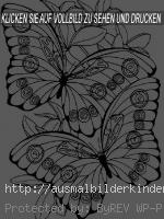 Schmetterling-7
